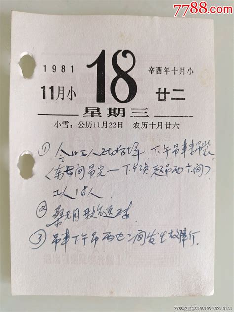 1981年11月